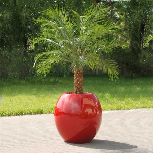 Pot design 